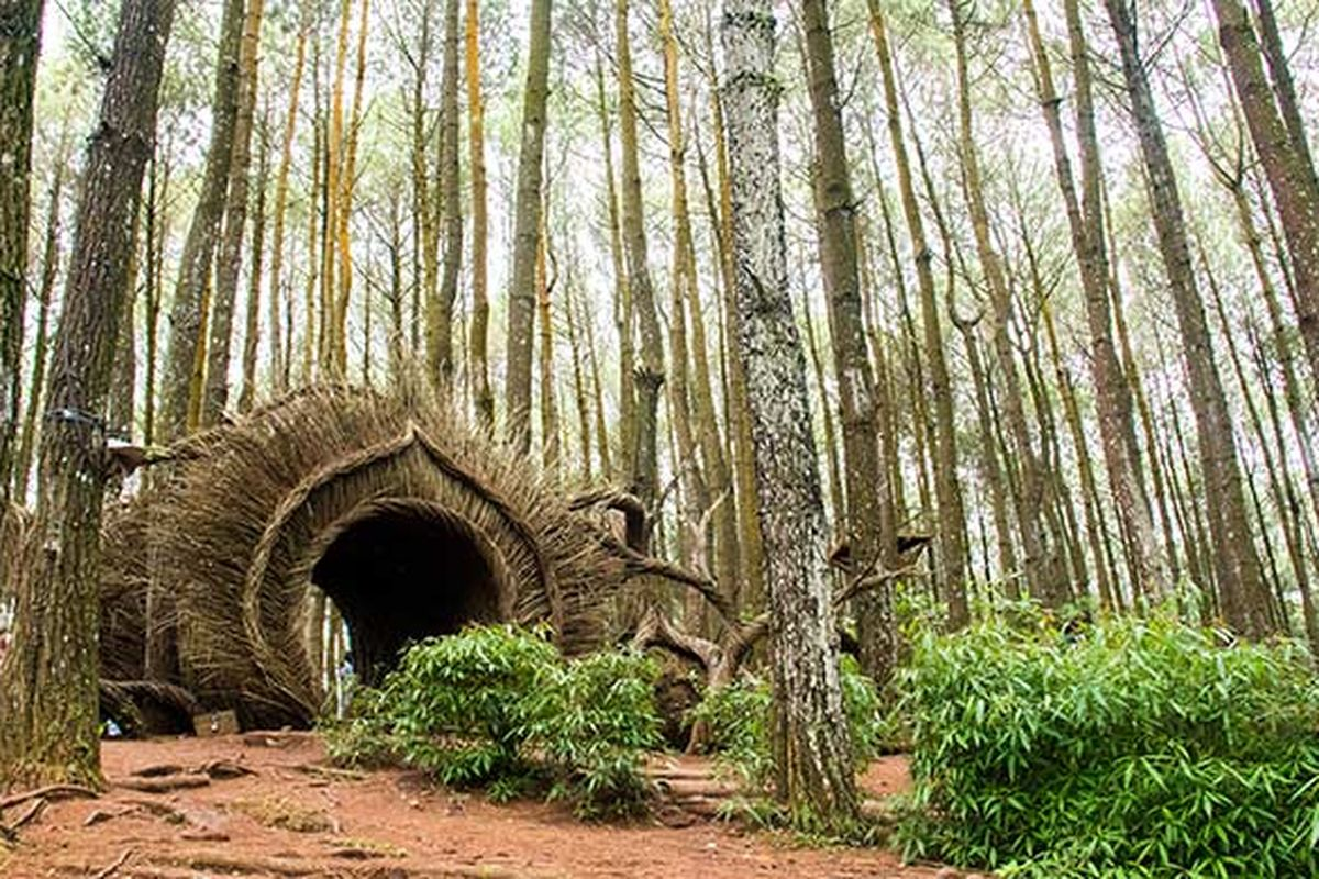 Nature & Adventure Trip 4 Hari 3 Malam